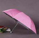 Paraguas plegable estilo coreano