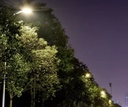 LUZ PASTORAL LANTUN DE ALTA DURACION   250W